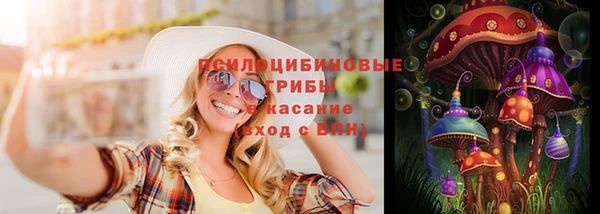 хмурый Алзамай