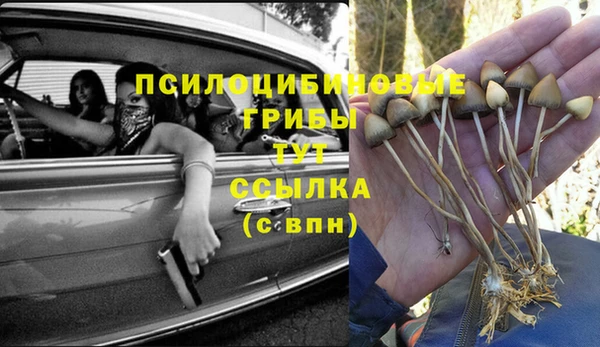 кокс Алексеевка