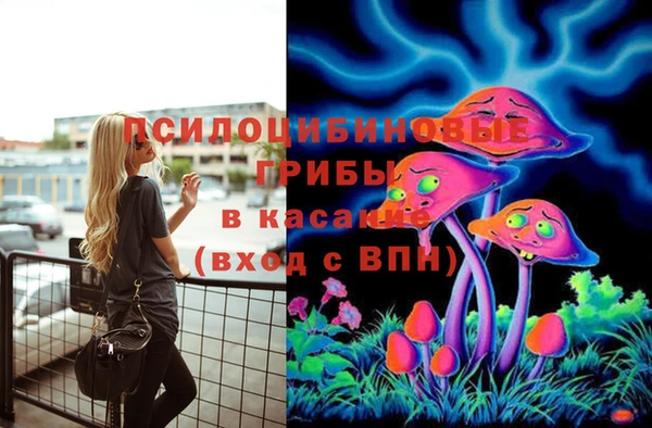стафф Армянск