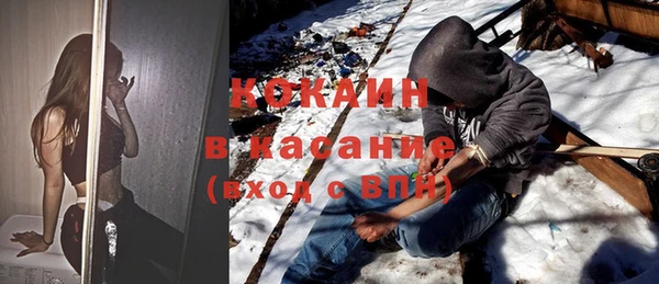 стафф Арсеньев