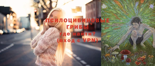 хмурый Алзамай